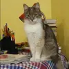 Отзыв от Оля Михеева